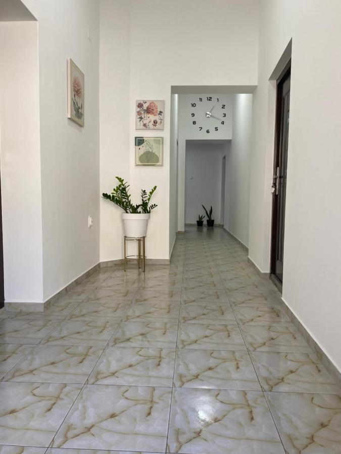 Ferienwohnung Lotus House Zrenjanin Exterior foto