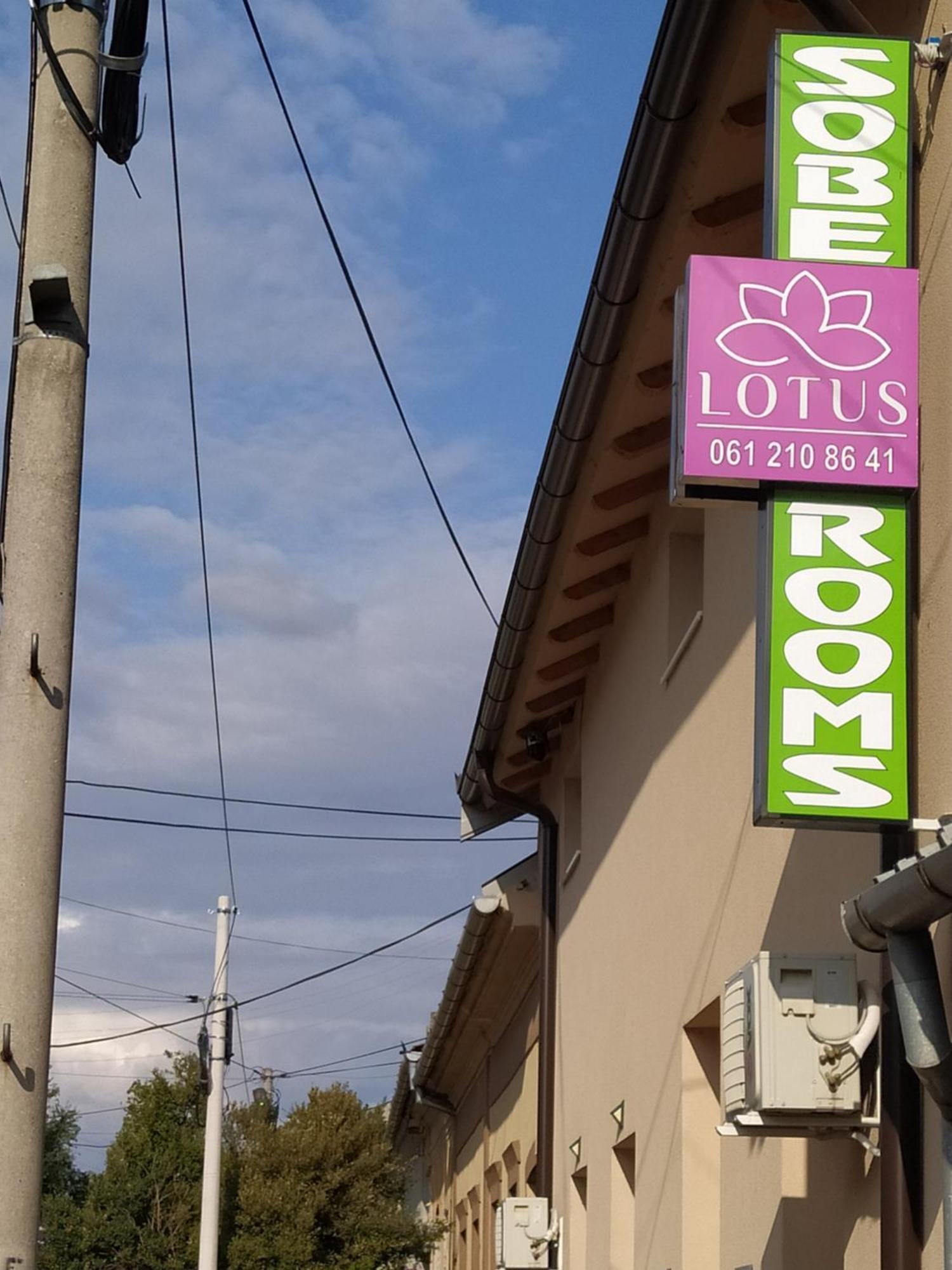 Ferienwohnung Lotus House Zrenjanin Exterior foto